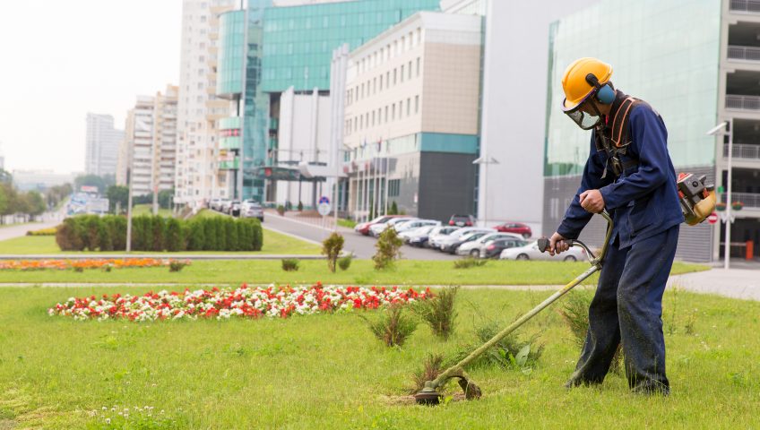 Commercial Sustainable Landscapes Sacramento CA