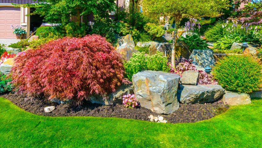 Landscaper Sacramento CA