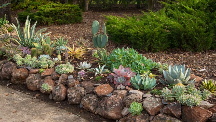 affordable-landscaping-auburn-ca