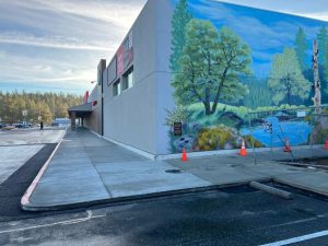 Concrete walkway designed by Aaronson Landscape at retail location in Rocklin