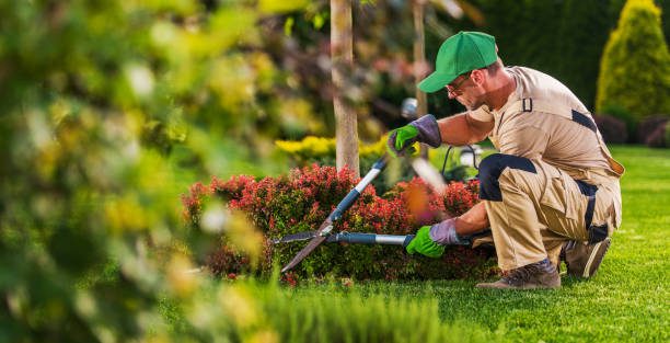 Commercial Landscaping Services in Rocklin California by Aronson landscape