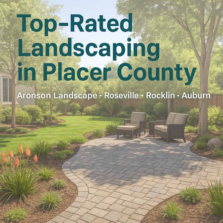 Landscaping in Placer County by Aronson Landscape – backyard design and outdoor features